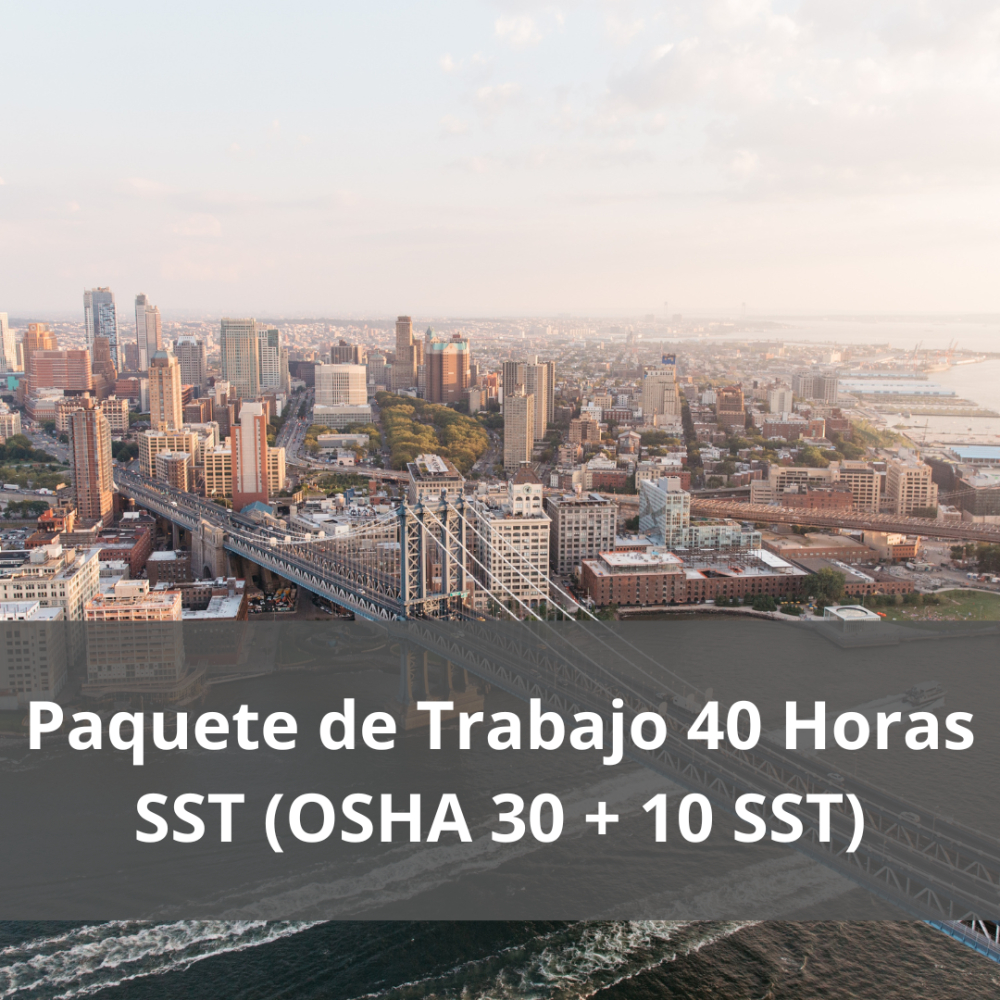 Paquete para trabajadores SST de 40 horas